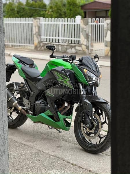 Kawasaki Z300