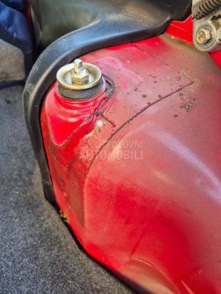 Zastava Koral In 1.1