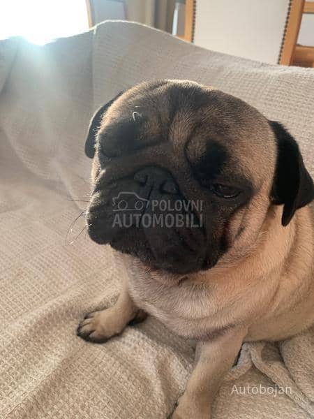 Vesta Akcija light 25 kiper