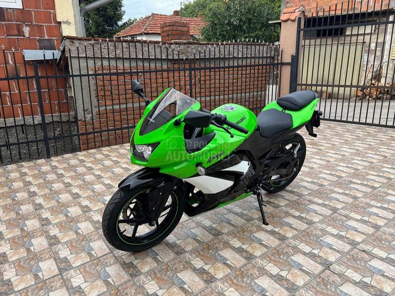 Kawasaki Ninja 250r A2 CH