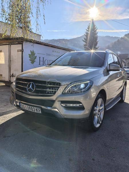 Mercedes Benz ML 250 