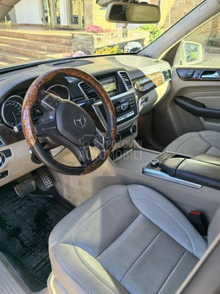 Mercedes Benz ML 250 