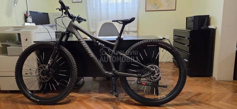 Specialized Stumpjumper 29 Carbon
