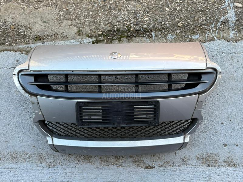 Centralni deo branika