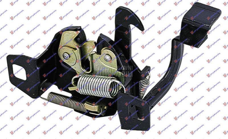 BRAVA HAUBE NA VEZNOM LIMU P/u