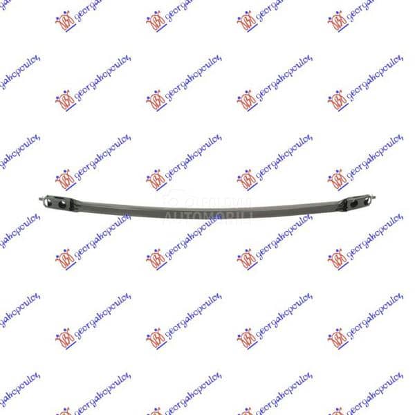 SINA PREDNJEG BRANIKA