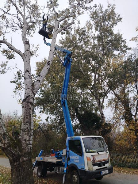 Nissan cabstar korpa z19