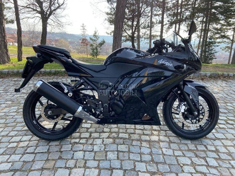 Kawasaki Ninja