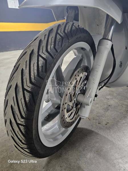 Malaguti Password 250