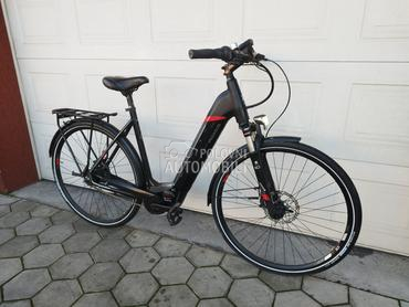 Pegasus Solero Bosch