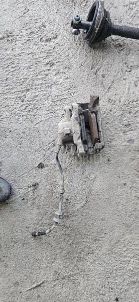 Kociona Klesta 1.9dci