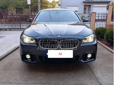 BMW 520 M VIRTUAL