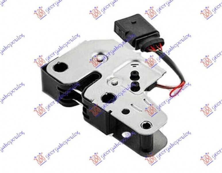 BRAVA HAUBE NA VEZNOM LIMU