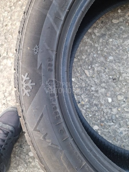Minerva 225/55 R19 Sve sezone
