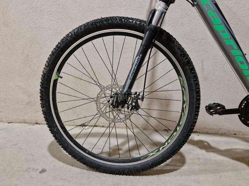 Capriolo Adrenalin 29