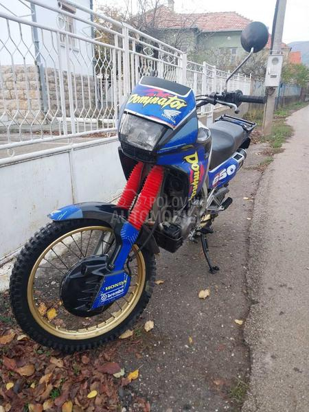 Honda Dominator 650
