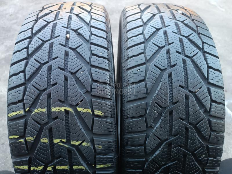 Kormoran 205/55 R17 Zimska