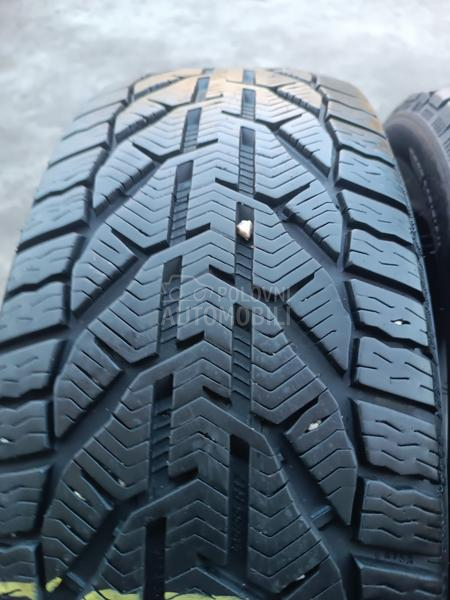 Kormoran 205/55 R17 Zimska