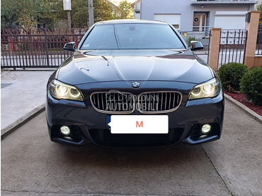 BMW 520 VIRTUAL M