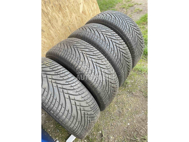 BFGoodrich 225/50 R17 Zimska