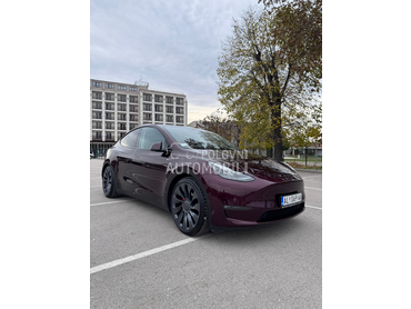 Tesla Model Y Performance