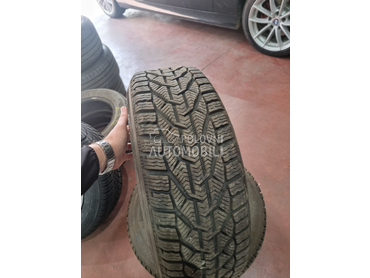 Riken 215/60 R16 Zimska