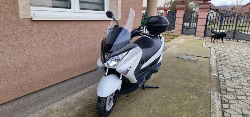 Suzuki Burgman