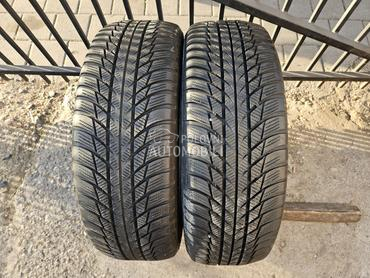 Bridgestone 215/65 R17 Sve sezone