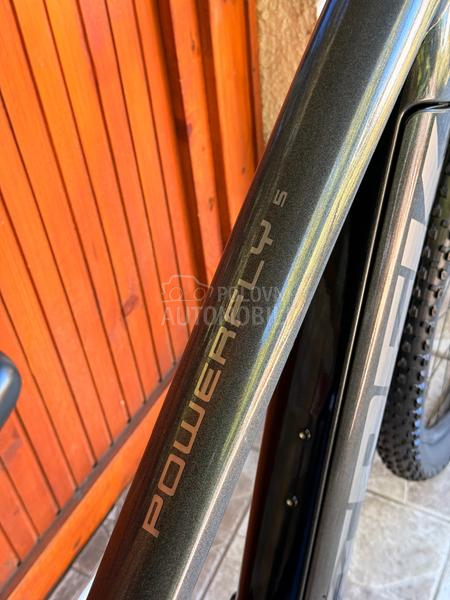 Trek Powerfly 5 29