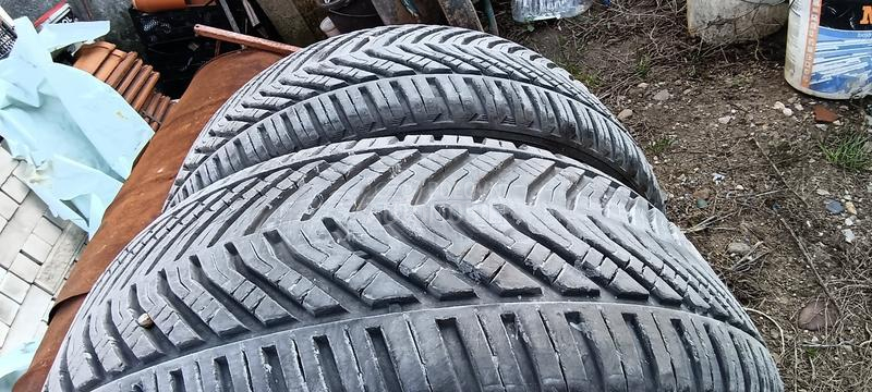 Taurus 225/55 R17 Sve sezone