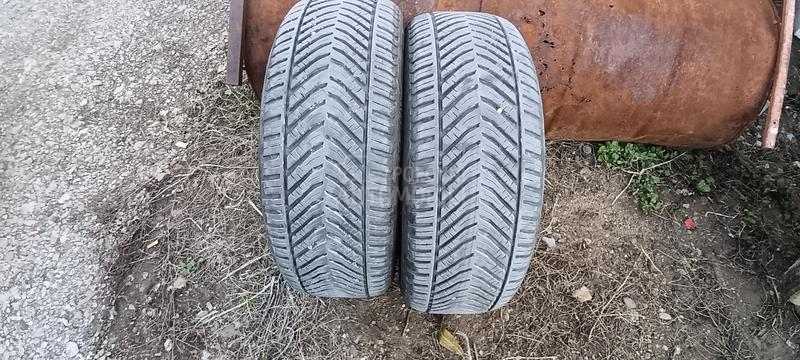 Taurus 225/55 R17 Sve sezone