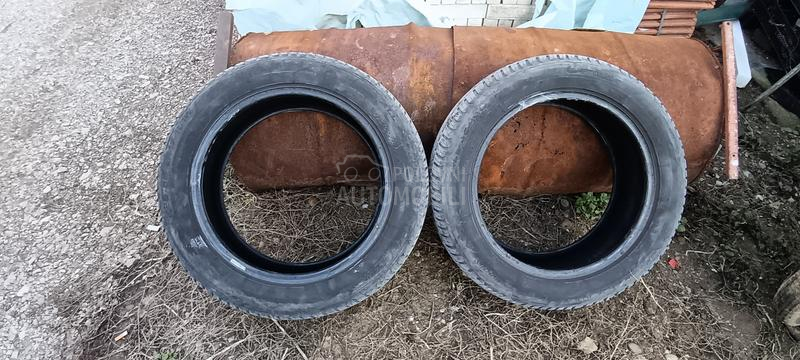 Taurus 225/55 R17 Sve sezone