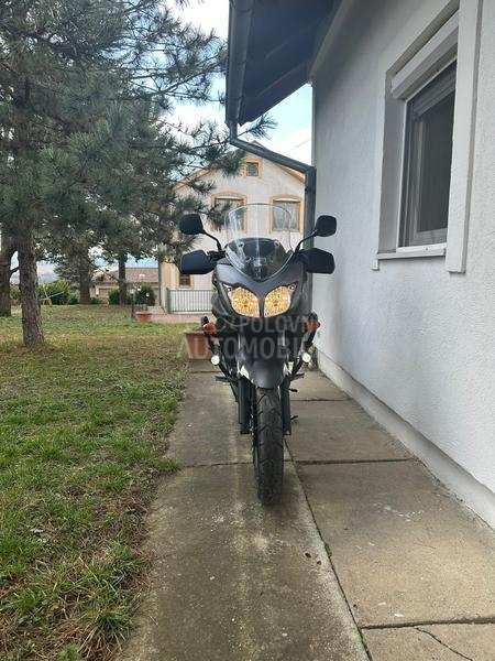 Suzuki v strom HITNO