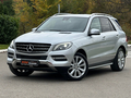 Mercedes Benz ML 250 CDI 4Matic Nav Led