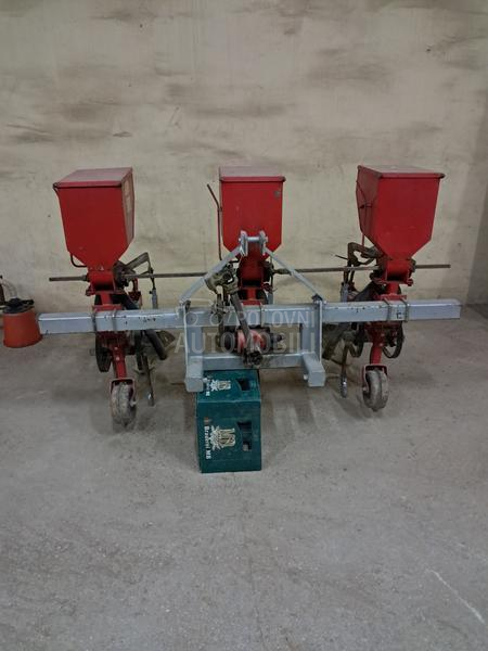 Adut Dvoredni špartač