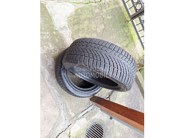 Bridgestone 225/50 R17 Zimska