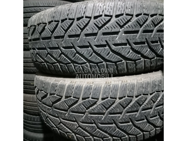 Tigar 205/50 R17 Zimska