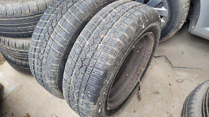 Taurus 185/65 R15 Zimska