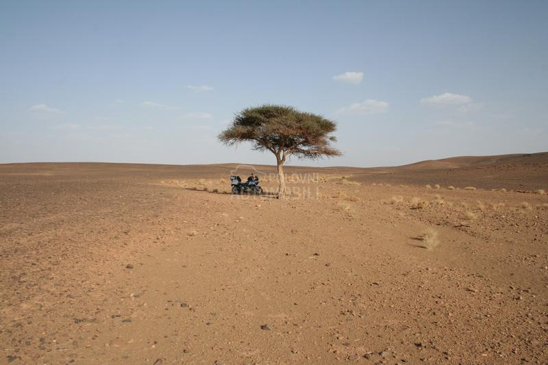 Yamaha xt1200z Super Tenere