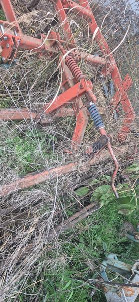 Vogel Noot Euro grubber