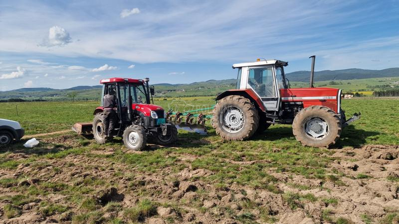 Massey Ferguson 3655