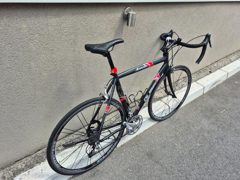 OLIMPIA arrow XL 10.5kg