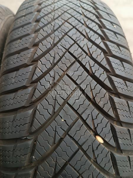 Minerva 185/65 R14 Zimska