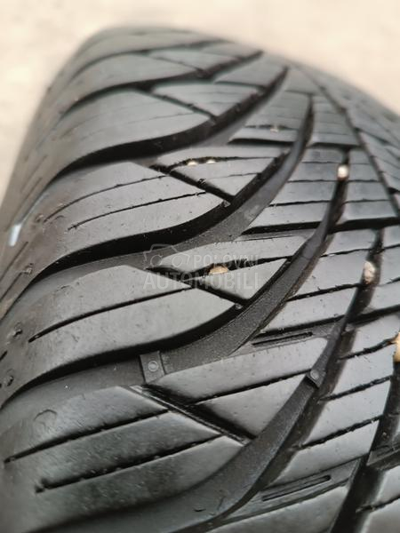 Goodyear 195/65 R15 Sve sezone