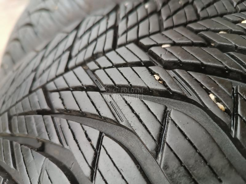 Goodyear 195/65 R15 Sve sezone