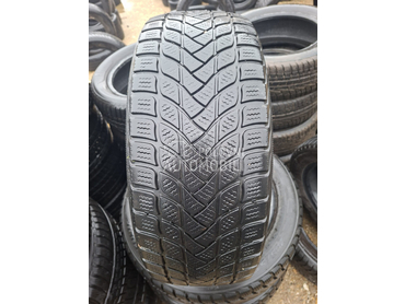 Delinte 205/55 R17 Zimska