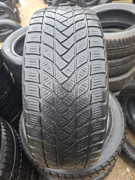 Delinte 205/55 R17 Zimska