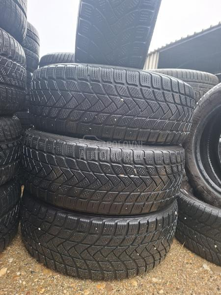 Delinte 205/55 R17 Zimska