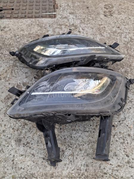 Maglenke i plastike branika