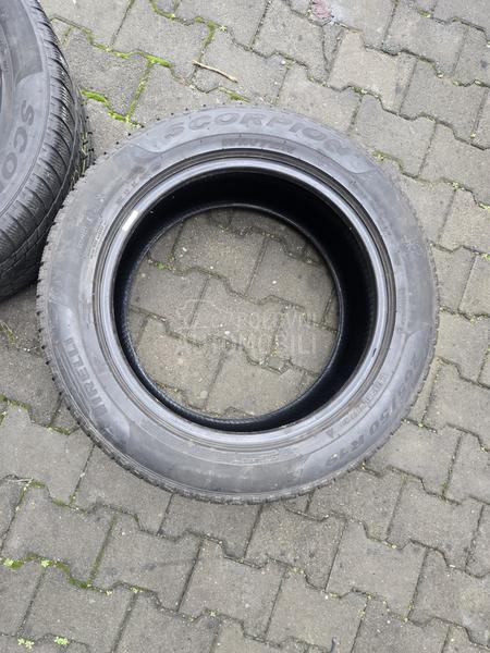 Pirelli 265/50 R19 Sve sezone
